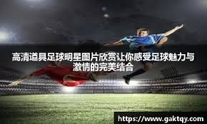 施洛特贝克：多特几乎不可能打进下赛季欧冠